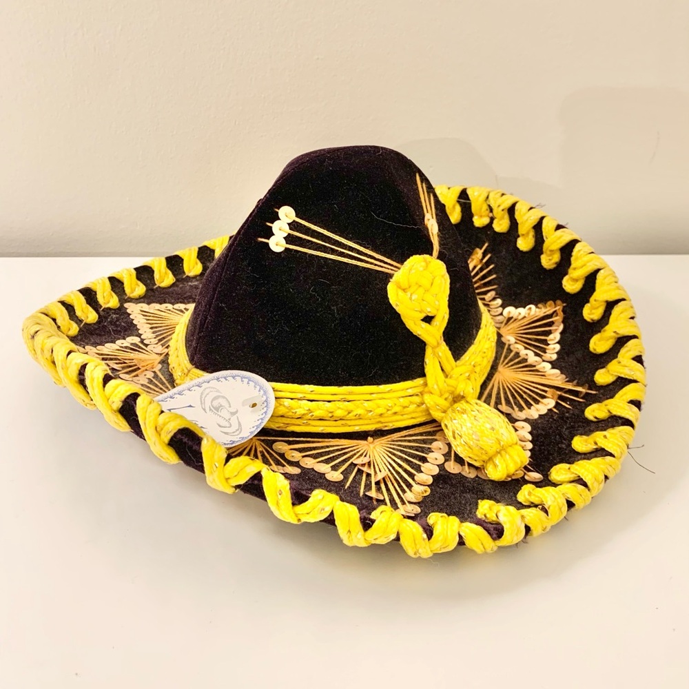 NWT Luna Sombrero Hat